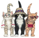 Cat design from The Harrison Collection