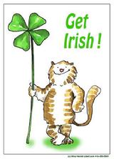 Get Irish card design with cat with clover