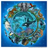 A beautiful circular design with various wildlife and sealife.