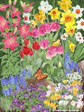 Garden with Butterfly by Susan Detwiler