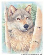 Female wolf in the woods with trees in the background