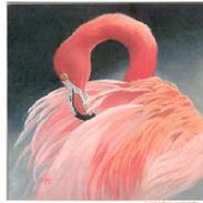 Flamingo by Kathy Goff