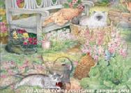 Garden Cats by Judith Cheng