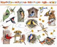 bird houses, bird feeders, nests, birds, sunflowers
