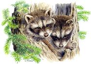 two baby raccoons peeking out of tree trunk