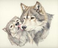 wolves, kissing