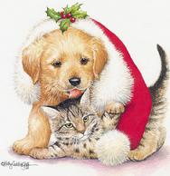 puppy, kitten, holly, Christmas, Santa hat
