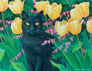black cat, yellow tulips