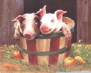 Piglets by Lorraine Ryan