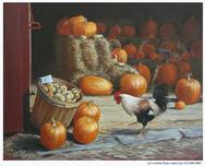 Rooster at the Pumpkin Stand