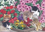 Kittens, flowers, pansies, watering can