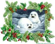 Harp Seals at night in the snow with holly border