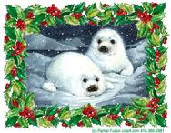 Harp Seals at night in the snow with holly border