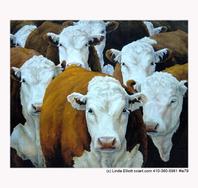 beautiful cow paintings by Linda Elliott