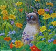 Siamese Cat in flowers