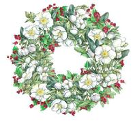 Wreath, Christmas Rose, berries, greenery