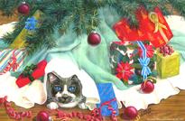 Christmas, tree, cat, presents