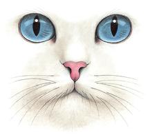 Cat design from the Harrison Collection