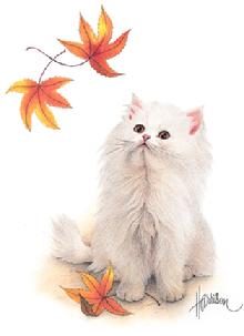 cat design from the Harrison Collection