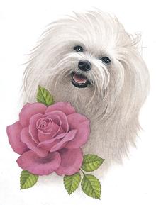 dog design from the Harrison Collection