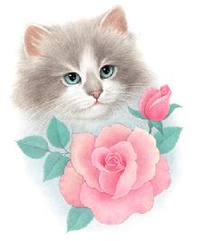 cat design from the Harrison Collection