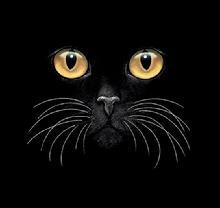 cat design from the Harrison Collection