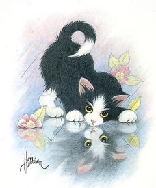 cat design from the Harrison Collection