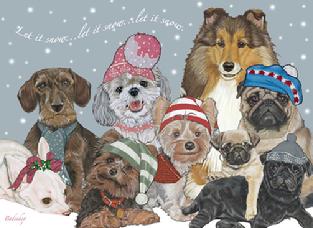 Pets, dogs, snow